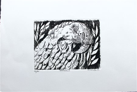 Franco KB Rossetto - Pappagallo - 2014