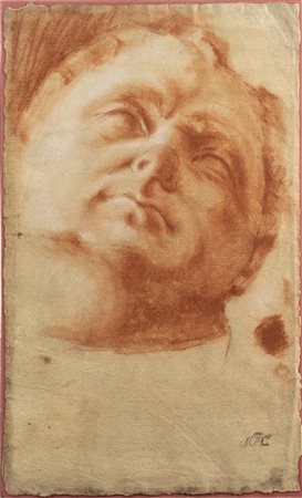 PITTORE ANONIMO<BR>"Volto virile"