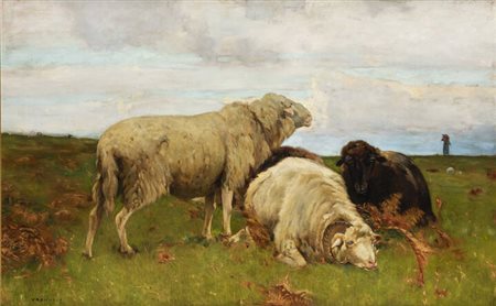 PITTORE NON IDENTIFICATO<BR>"Pecore"