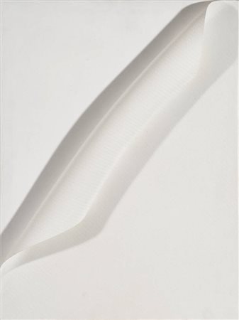 ANTONIO BACCARIN<BR>1954 Cavarzere (Ve)<BR>"Senza nome" 2005