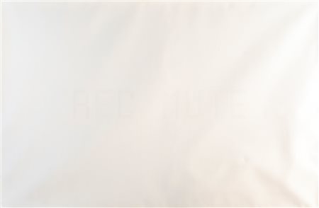 Luca Pancrazzi - Rec mute - Al verso reca firma, titolo e data - Bianco...