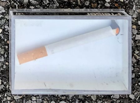 DE MOLFETTA FRANCESCO Milano (Milano) 1979 Pingui-no Scultura entro...