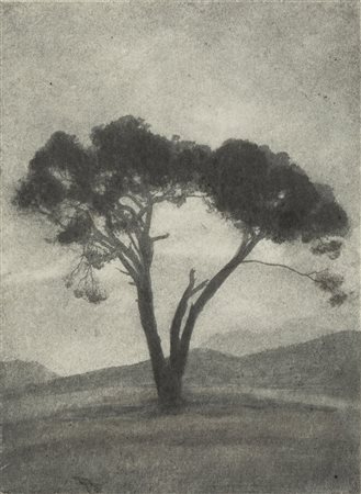 Domenico Riccardo Peretti Griva (1882-1962)  - Nuoro: "Su pinu", years 1930