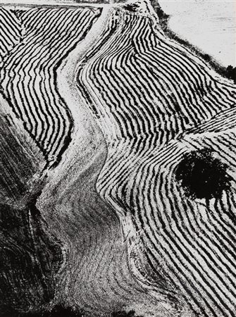 Mario Giacomelli (1925-2000)  - Presa di coscienza sulla natura, 1984
