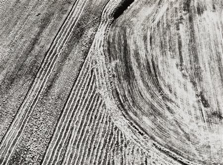 Mario Giacomelli (1925-2000)  - Presa di coscienza sulla natura, 1983