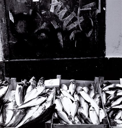 Enzo Carli (1949)  - Sicilia, 1989