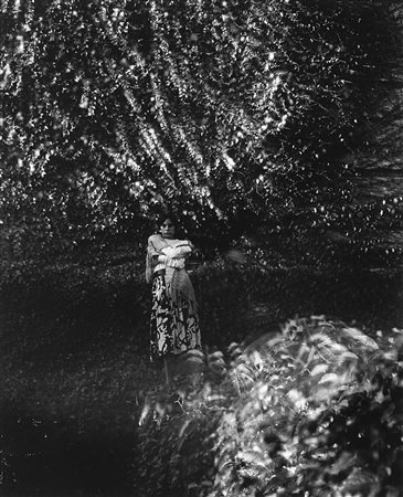 Floris Michael Neusüss (1937-2020)  - Senza titolo, years 1970/1980