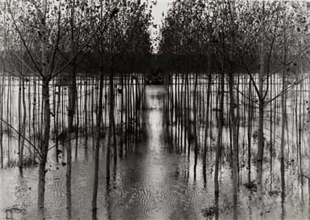 George Tatge (1951)  - The Po River, 2001