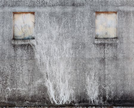 George Tatge (1951)  - Florence, 2012