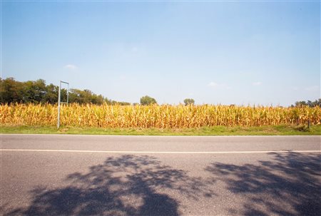 Franco Fontana (1933)  - Via Emilia, Alseno, km 251, 2006