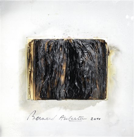 Bernard Aubertin, Livre brûlé, 2011