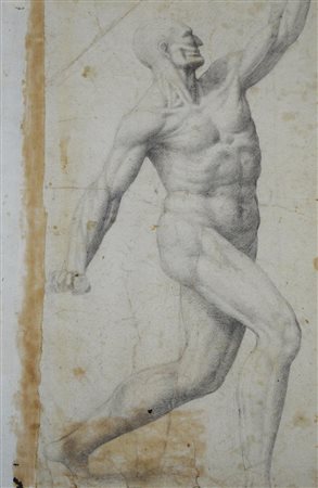Scuola Toscana del XVIII secolo studio anatomico matita su carta, cm 39x22,5