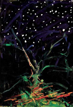 Mario Schifano Homs 1934 – Roma 1998 NOTTETEMPO, 1986 smalto e acrilico su...