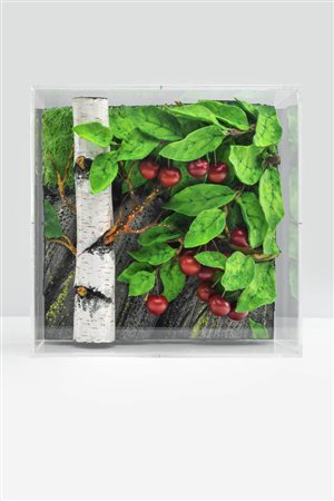 PIERO GILARDI<BR>Torino 1942<BR>"Ciliegie di montagna"