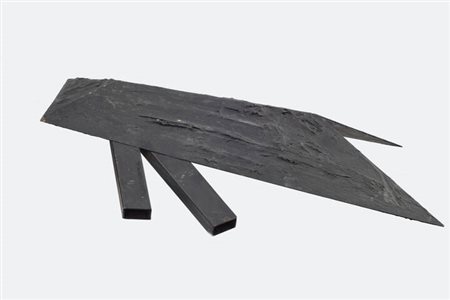 SERGIO RAGALZI<BR>Torino 1951<BR>"Insetto" 1989