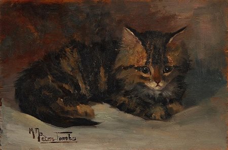 Madeleine Tombu - Gattino - Olio su tela cm.20,5x30,5 - firmato in basso a...
