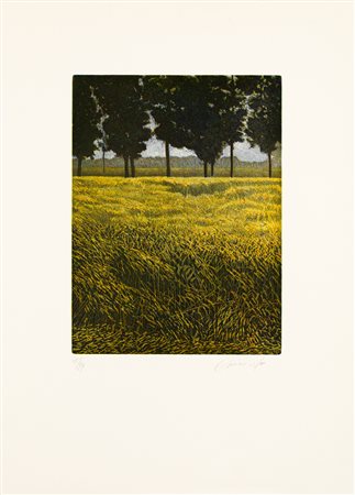OLIVIERO MASI (1949) - Campo d'orzo, 1983