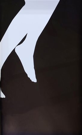 Cristallo Odescalchi (Roma 1981)  - Passo Sopra -  La Dimensione del Cormorano, 2015