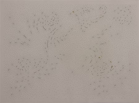 Dadamaino Costellazioni, 1987 china su carta cm 26x36 firmata, intitolata e...