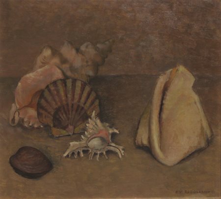 Rodocanachi Paolo Conchiglie olio su tavola 34x40 firmato in basso a destra,...