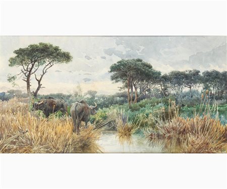 Campagna romana con bufali