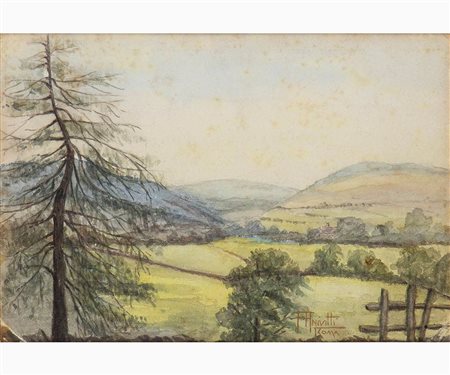 Paesaggio montano estivo