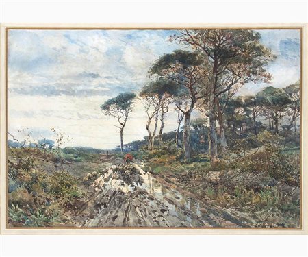 Pineta sul litorale laziale