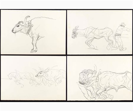 Quattro disegni con studio di Buoi