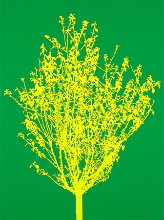 FERNANDO DE FILIPPI (1940) - Primavera, 2005