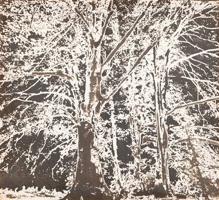 TANO FESTA (1938-1988) - Senza Titolo, 1978