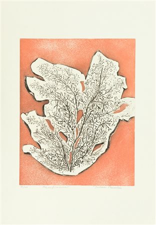 Dalma Bresolin Lotto unico di due Opere - "Ramificazioni", Acquaforte di cm....