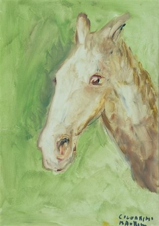 Maurilio Colombini Testa di cavallo Olio su tela, cm. 70x50 Firmato in basso...
