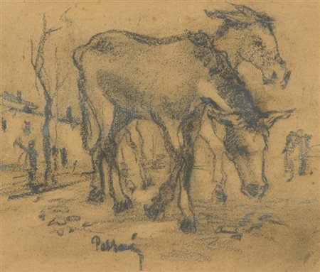 Passani Ciuchi Carboncino su carta, cm. 25x29 Firmato in basso a sinistra.