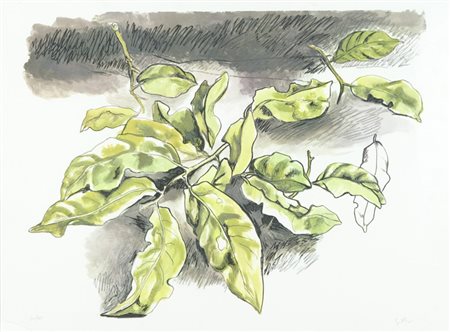 Renato Guttuso Foglie Litografia su carta, cm. 60x80, es. 30/125 Firma in...