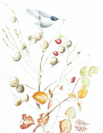 Francesco Petretti Senza titolo Acquerello su carta, cm. 36x28 Firmato in...