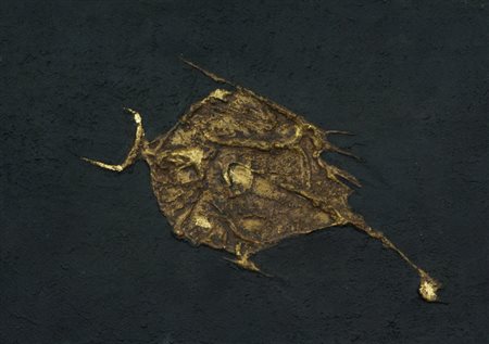 Elio Marchegiani Struttura, 1963 Tecnica mista su masonite, cm. 20x29 Sul...