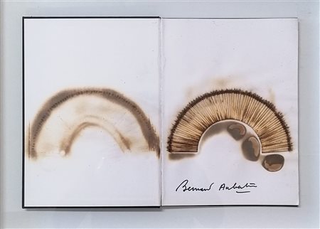 Bernard Aubertin “Livrè Brùlè Rosenberg” 2010 