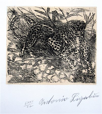 ANTONIO LIGABUE, senza titolo, 1982