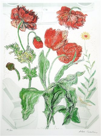 ALIK CAVALIERE, senza titolo