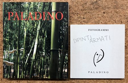 MIMMO PALADINO - Lotto unico di 2 cataloghi