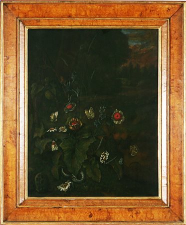 COPIATORE FIAMMINGO DEL XIX SECOLO NELLO STILE DEL XVII SECOLO Fiori in un...