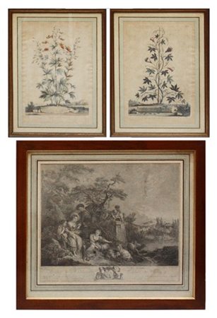 Lotto composto da due incisioni acquerallate di Abraham Munting a soggetto bota