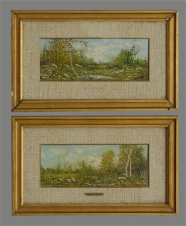 Remo Testa "Paesaggi" coppia di dipinti ad olio su cartone telato (cm 22x40) Fir