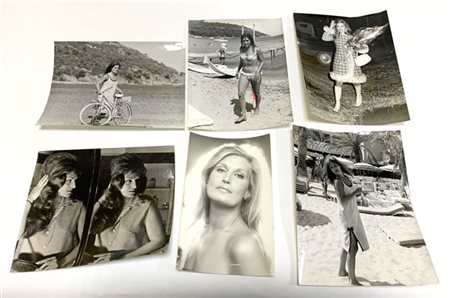 Dalida 1970 circa

Sette fotografie in bianco e nero ai sali d'argento.