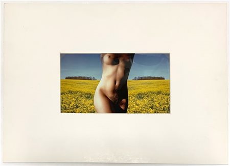 Franco Fontana Collage 1990 

Stampa fotografica vintage a colori procedimento C