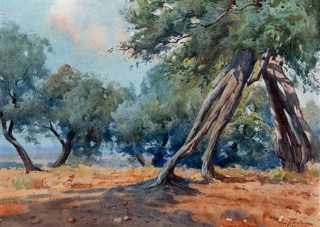 Edoardo Tani (Tivoli 1880-Roma 1948)  - Paesaggio con ulivi