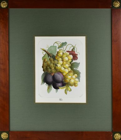 NATURA MORTA stampa su carta, cm 68x57