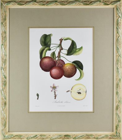 AMBRETTE D'HIVER stampa su carta, cm 67x57