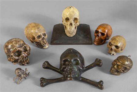 Otto modelli di teschio, tre in legno, due in 
