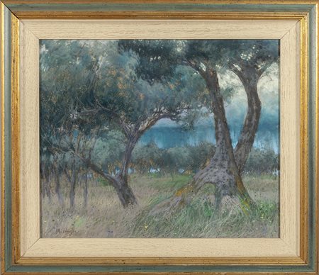 MICHELE CASCELLA (1892-1989) <br>Ulivi sul 